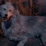 How to find the wolf dog in Resident Evil 4 Remake: location and what advantage it gives you