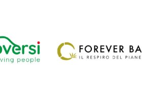 Moversi e Forever Bambù, una partnership per un’Italia più pulita thumbnail