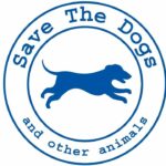 Weward e Save the Dogs uniti insieme per aiutare i cani dei senza dimora thumbnail