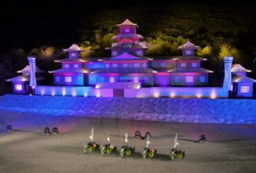 Dove vedere Napoli-Verona: Sky o DAZN?