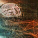 L'AI che legge la mente: come i ricercatori hanno creato video dalle attività cerebrali thumbnail