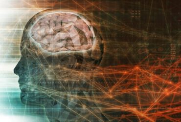 L'AI che legge la mente: come i ricercatori hanno creato video dalle attività cerebrali thumbnail