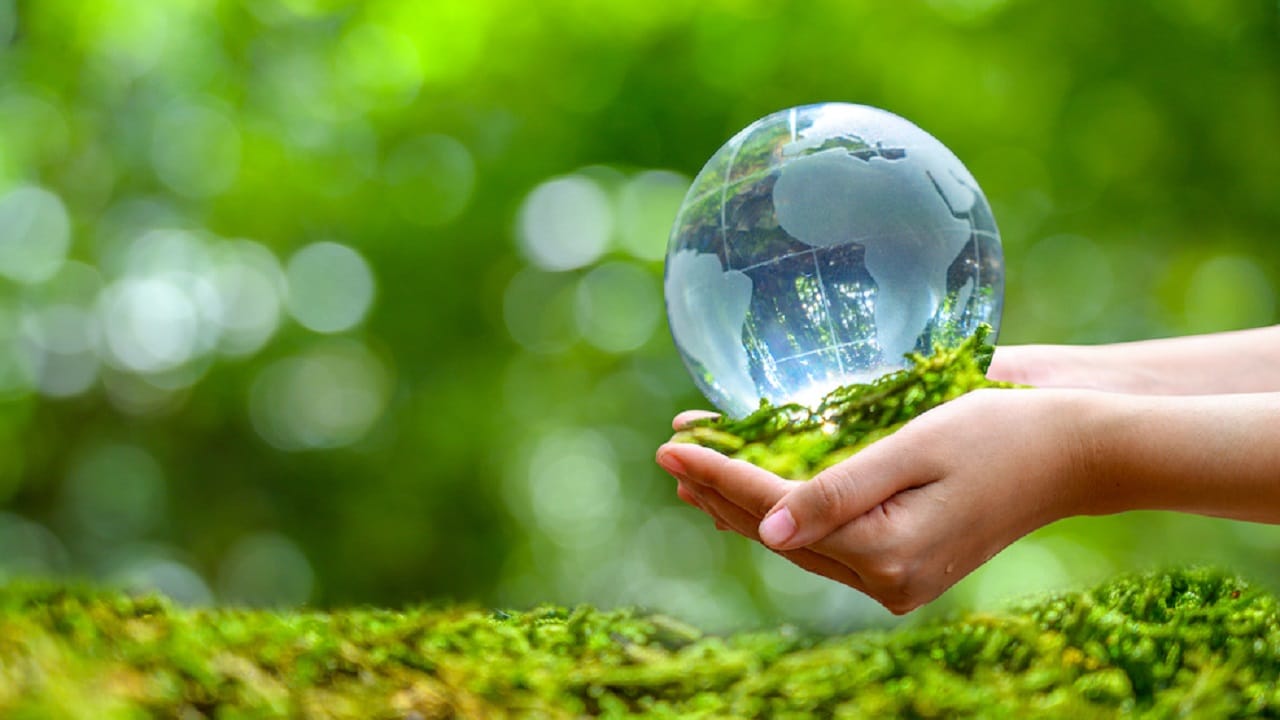 Sostenibilità in primo piano: Oppo svela il suo Report 2022 per la Giornata Mondiale dell'Ambiente thumbnail