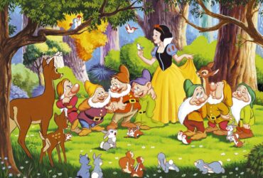 Voucher governativo connettività: come funziona?