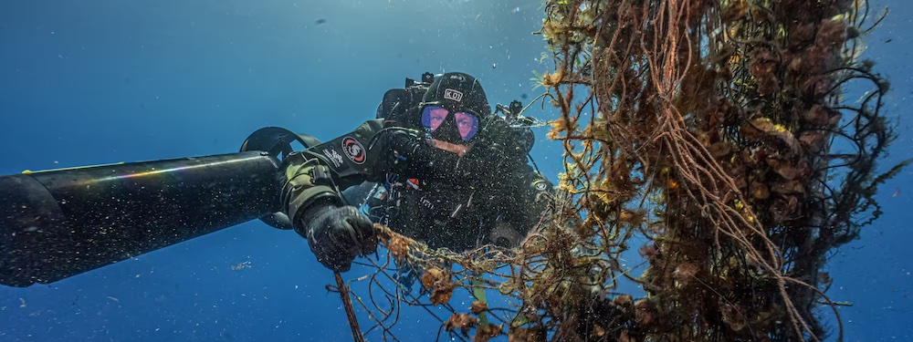 Hyundai, together with Healthy Seas to protect the sea of ​​Lampedusa, press office source