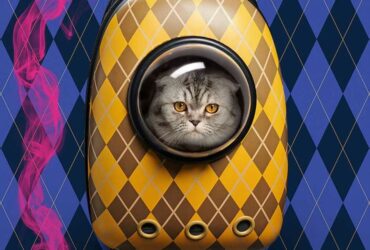 Now TV: l'app sbarca su Google TV, ancora più accessibile!