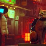 Stray diventa un film con protagonista un tenero e vendicativo gattino rosso thumbnail