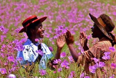 Napoli-Fiorentina: dove vedere la partita?