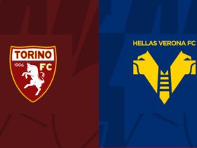 Torino-Verona: dove vedere la partita?