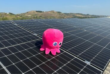 Solar Club: la prima comunità energetica rinnovabile di Octopus Energy thumbnail