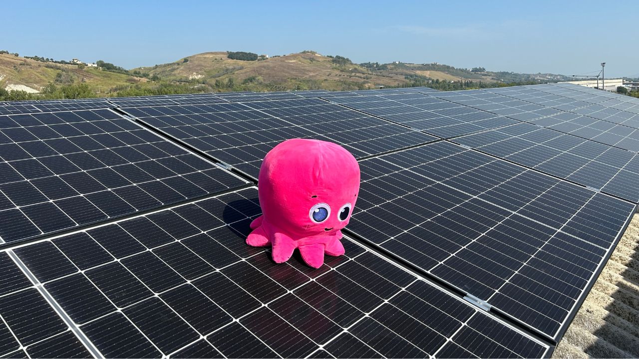 Solar Club: la prima comunità energetica rinnovabile di Octopus Energy thumbnail