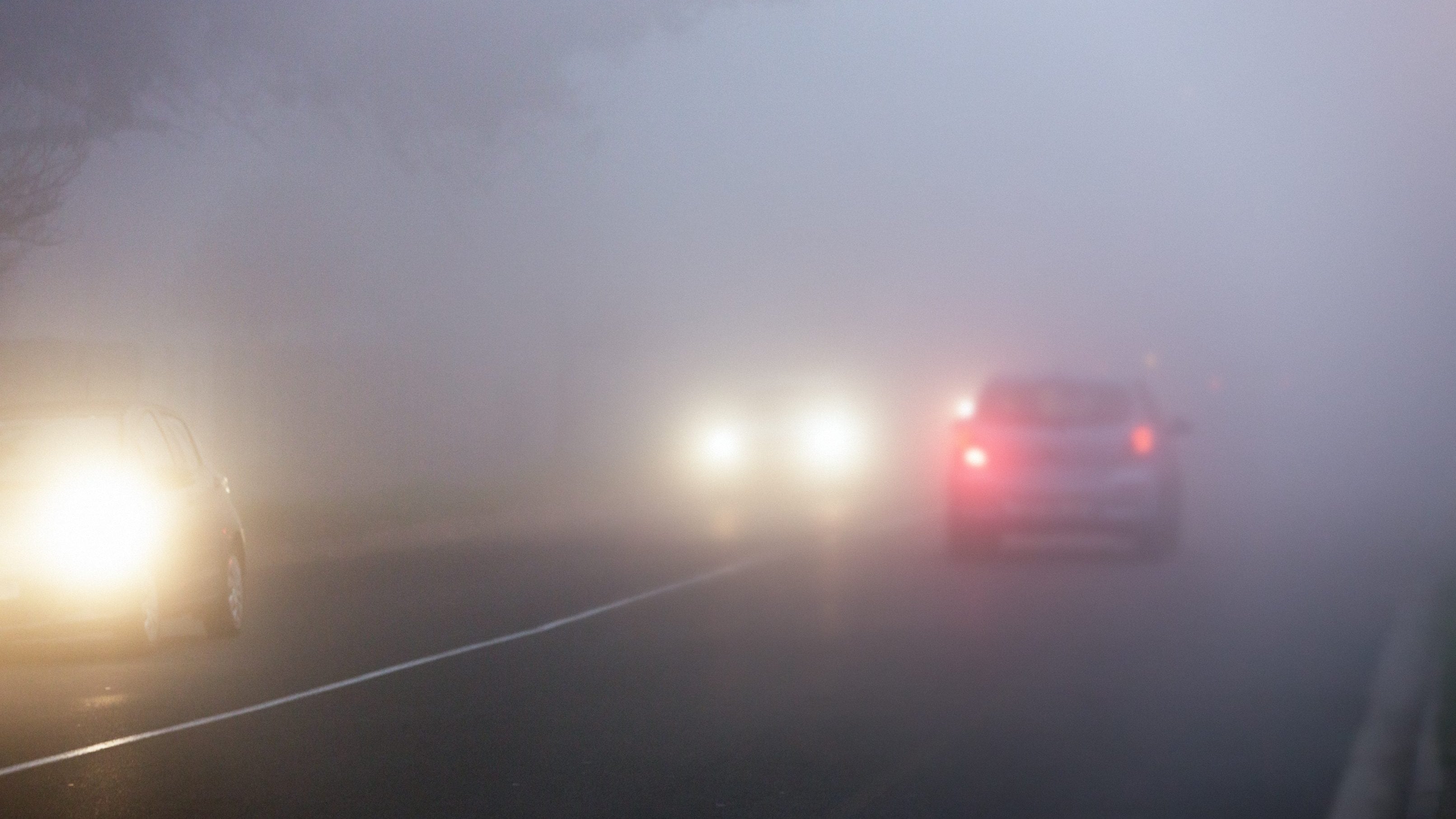 Fog lights and rear fog lights: what they are and how to use them