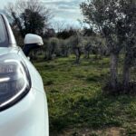 Ford usa gli scarti della raccolta di olive per le componenti d'auto thumbnail