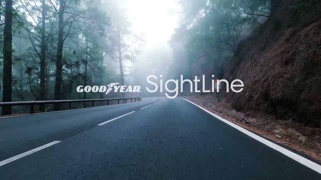 Goodyear SightLine and ZF cubiX: here are the new intelligent tyres