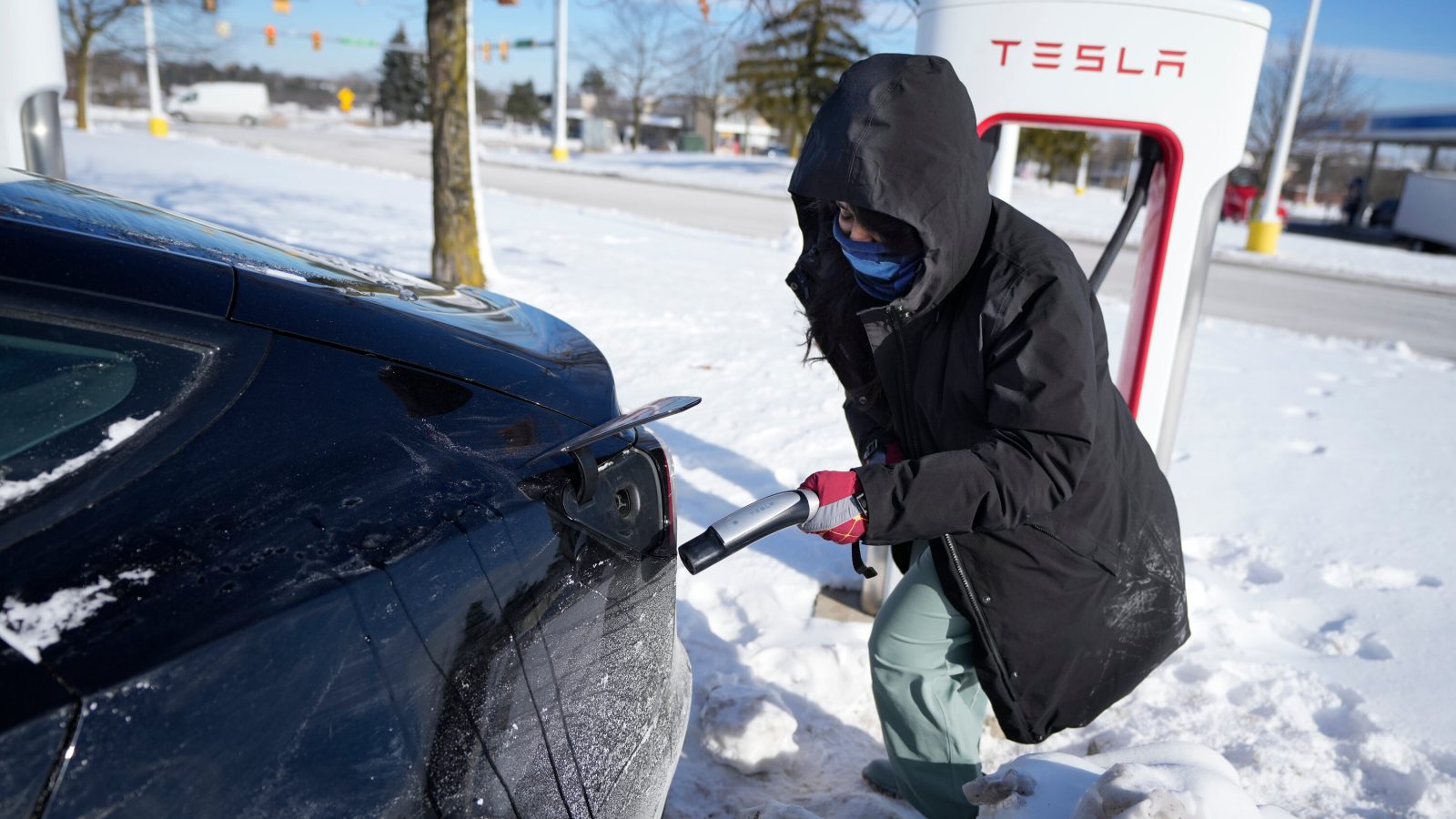 The case of the frozen Teslas: the whole truth behind the scandal