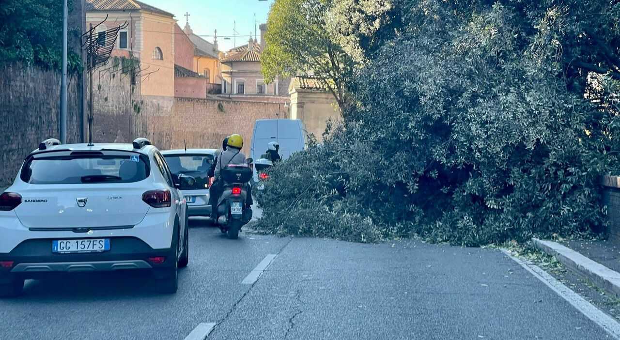 How to drive in strong winds: tips and tricks