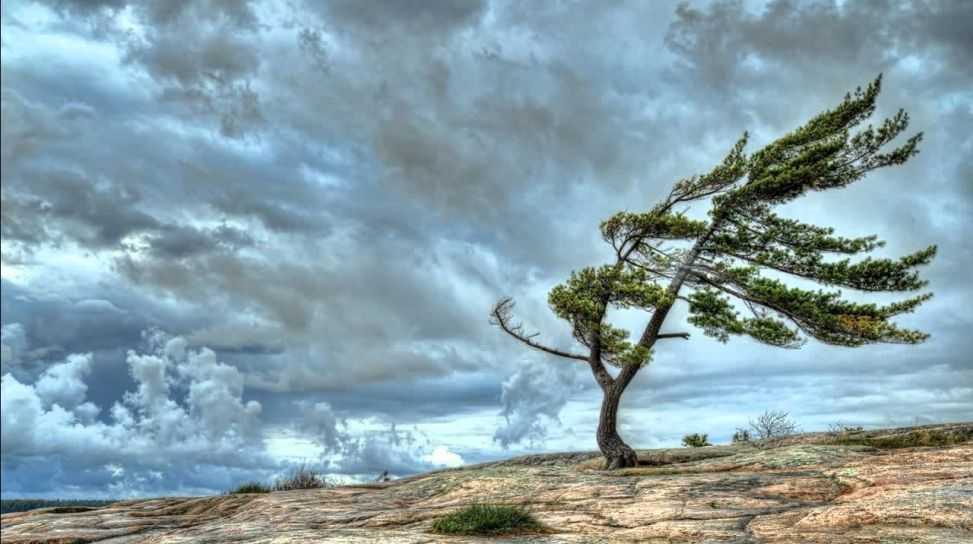 How to drive in strong winds: tips and tricks