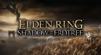 Elden Ring: there will be no further DLC after Shadow of the Erdtree