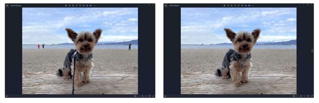 windows photo generative deletion min (1)