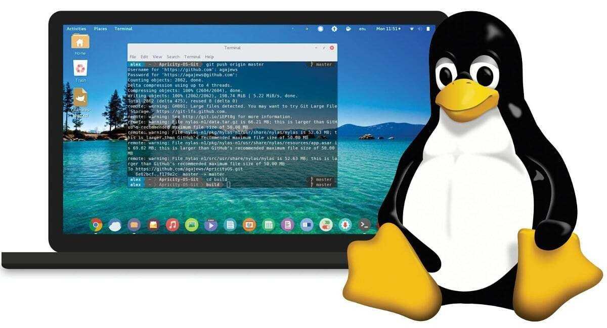 How to install a dual-boot operating system