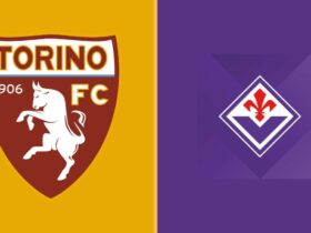 Torino-Fiorentina: dove vedere la partita?