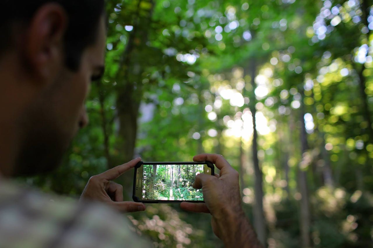Smartphone photography: how to take beautiful photos with your phone
