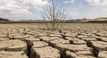Drought in Italy: data on the most affected areas and targeted interventions