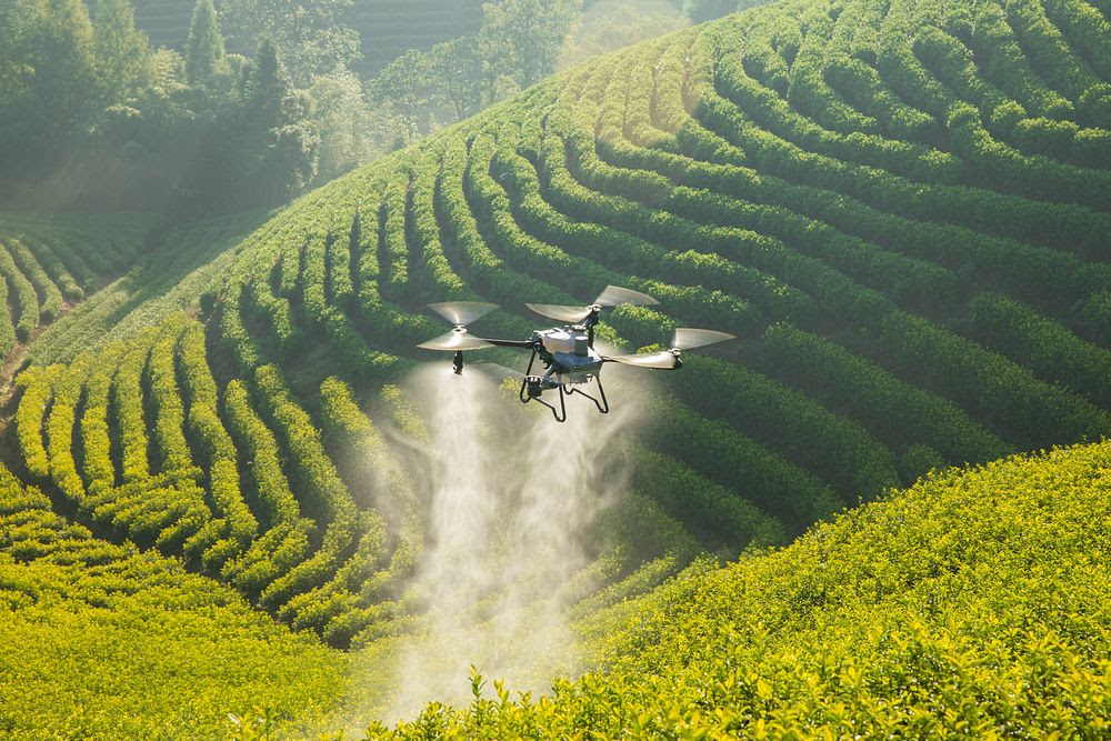 The DJI Agras T50 and T25 expand aerial crop protection capabilities