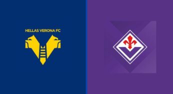 Verona-Fiorentina: where to watch the match?